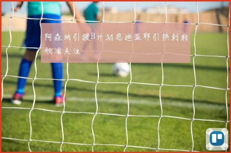 阿森纳引援B计划恩迪亚耶引热刺利物浦关注